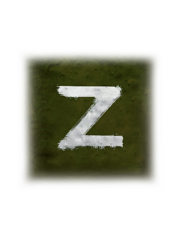 Женская футболка с буквой «Z»