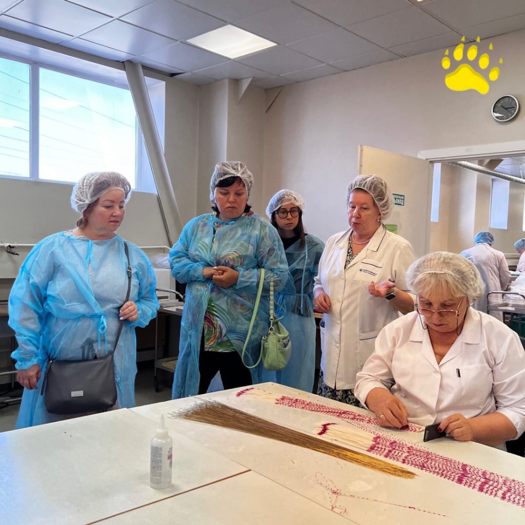 Экскурсия на фармацевтический завод для сотрудников Социального центра Калининского района